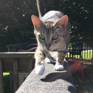 Meet your Posher, Zoe